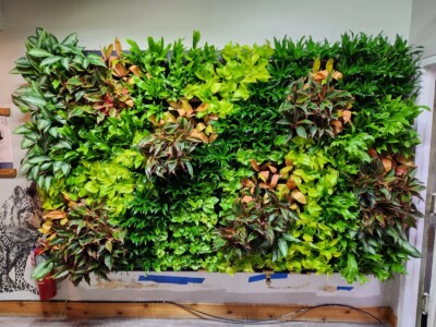MacBeth Farm Interiorscapes