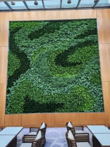 A corporate office with a green wall.
