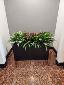 MacBeth Farm Interiorscapes