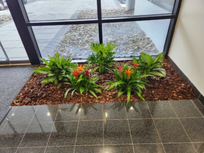 MacBeth Farm Interiorscapes