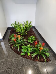 MacBeth Farm Interiorscapes interior floor design