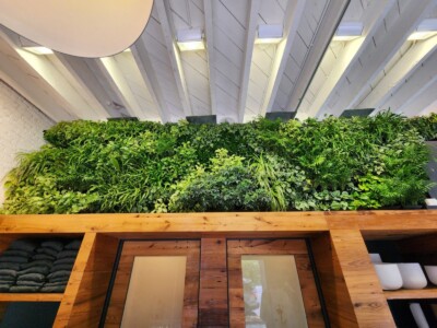 MacBeth Farm Interiorscapes store foliage wall