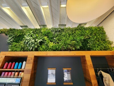 MacBeth Farm Interiorscapes foliage wall