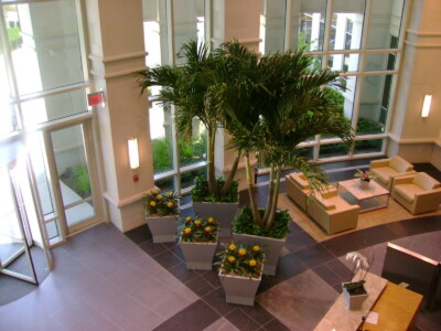 MacBeth Farm Interiorscapes Office Atrium