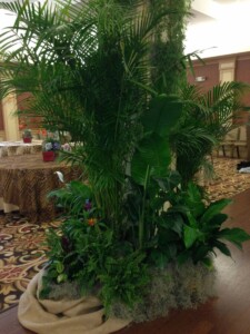 MacBeth Farm Interiorscapes event foliage