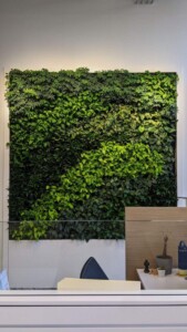 MacBeth Farm Interiorscapes
