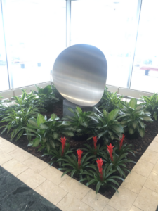 MacBeth Farm Interiorscapes lobby foliage