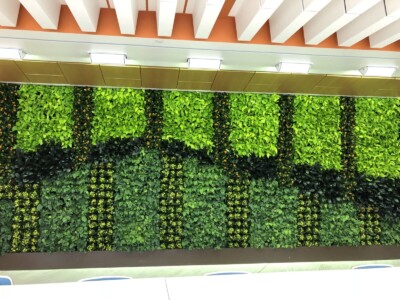 Patterned green wall.