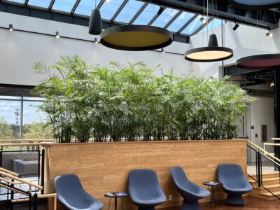 MacBeth Farm Interiorscapes foliage lobby
