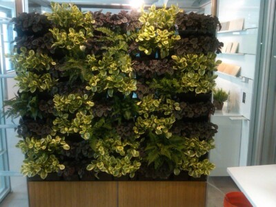 MacBeth Farm Interiorscapes