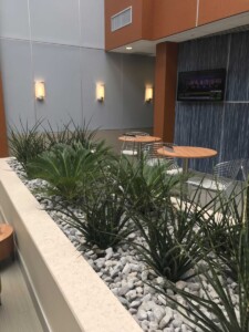 MacBeth Farm Interiorscapes large stone planter