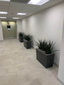 MacBeth Farm Interiorscapes multiple planters