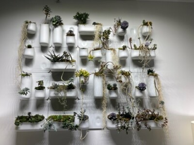 MacBeth Farm Interiorscapes