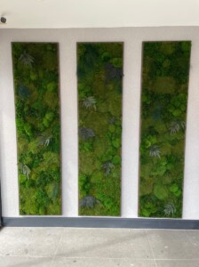 MacBeth Farm Interiorscapes scaled moss wall