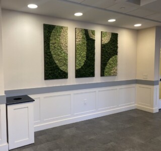 MacBeth Farm Interiorscapes circle moss wall