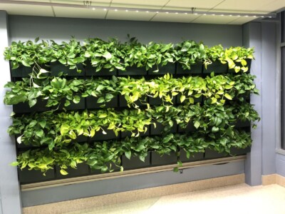 MacBeth Farm Interiorscapes