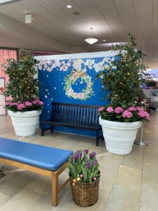 MacBeth Farm Interiorscapes blue and pink foliage Easter backdrop