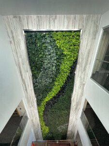 MacBeth Farm Interiorscapes