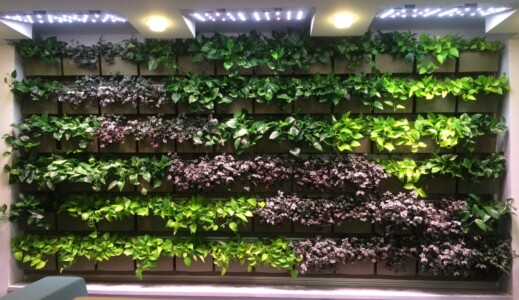 MacBeth Farm Interiorscapes