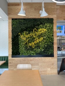 MacBeth Farm Interiorscapes