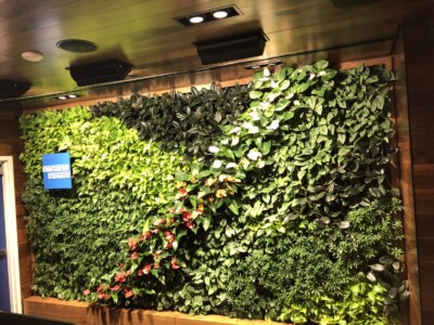 Macbeth Farms Interiorscapes