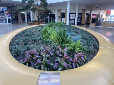 MacBeth Farm Interiorscapes foliage designs
