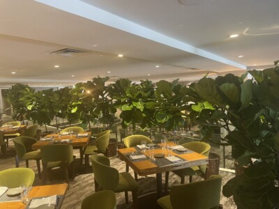 MacBeth Farm Interiorscapes indoor green restaurant foliage