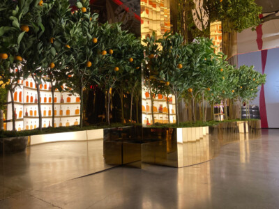 MacBeth Farm Interiorscapes lobby tree foliage