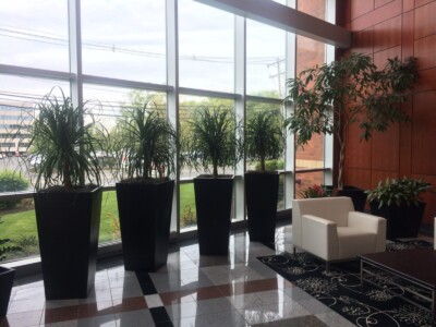 MacBeth Farm Interiorscapes business lobby