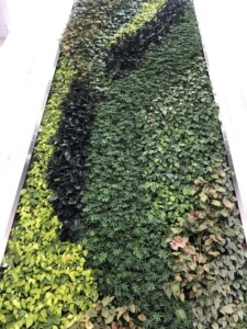 Macbeth Farms Interiorscapes