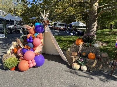 MacBeth Farm Interiorscapes purple, pink, and orange fall festival picture backdrop