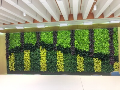 Macbeth Farms Interiorscapes