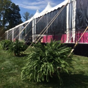 MacBeth Farm Interiorscapes party tent foliage
