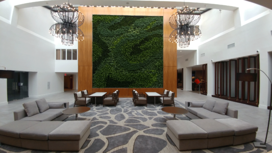 A corporate office with a green wall.