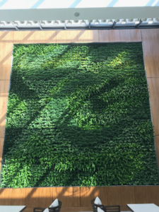 Macbeth Farms Interiorscapes