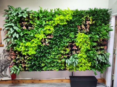 MacBeth Farm Interiorscapes