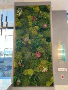MacBeth Farm Interiorscapes moss wall with flowers