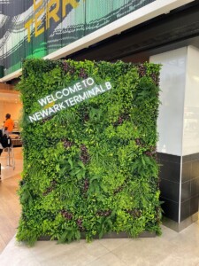 MacBeth Farm Interiorscapes text plant wall