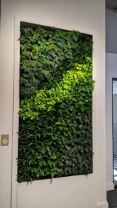 MacBeth Farm Interiorscapes