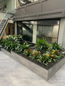 MacBeth Farm Interiorscapes plant and flower atrium