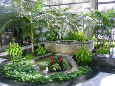 MacBeth Farm Interiorscapes interior gardenscape