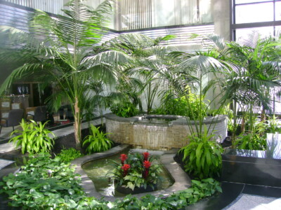 MacBeth Farm Interiorscapes lobby atrium